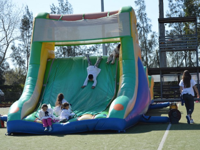 DSC_0209 (Medium).JPG